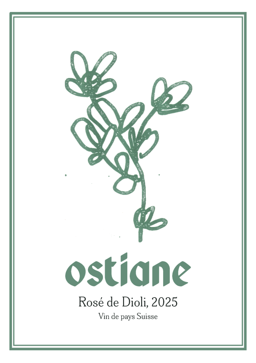 Rosé de Dioli
